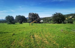 Conceição e Estoi, Algarve