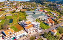 Canhas, Madeira