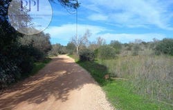 Vila do Bispo, Faro 8650-000