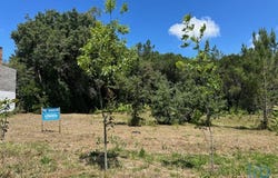 Leiria, Leiria District
