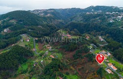 Camacha, Madeira 9135