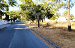 Azeitão (São Lourenço e São Simão), Setúbal, Setubal