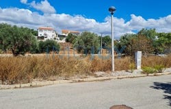 Faro, Faro