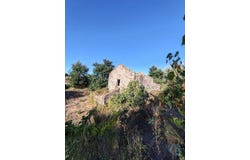 Seixas, Viana Do Castelo 4910