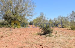 Paderne, Algarve