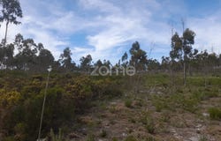 Marinha Grande, Leiria District