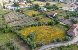 Fornos de Algodres, Guarda District