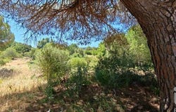 Quarteira, Algarve 8125-507