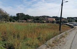 Arega, Coimbra District