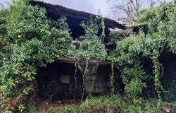 Abragão, Porto District 4560-017
