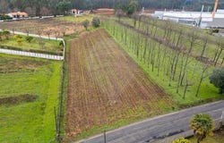 Aguada De Cima, Aveiro District
