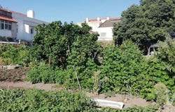 Setúbal, Setubal