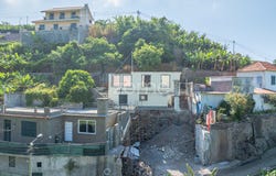 Câmara de Lobos, Madeira