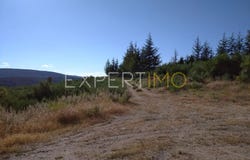 N18-1, Guarda, Guarda District 6300