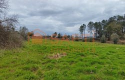 Leiria, Leiria District