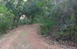 Marmelete, Algarve
