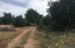 Loulé, Faro 8100-321