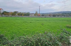 Coimbra, Coimbra District