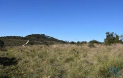 Ferreira do Zêzere, Santarém 2240-300
