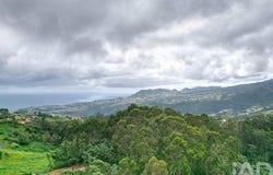 Sao Jorge, Madeira 9230