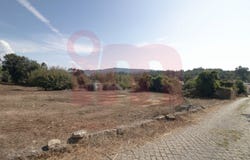 Barcelos, Braga