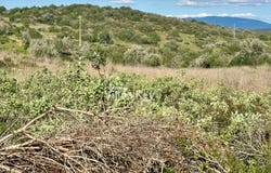 Bensafrim, Algarve
