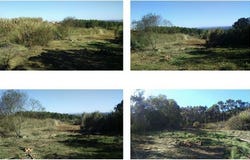 EM 566 Casais da Cidade, Caldas da Rainha, Leiria 2500-719