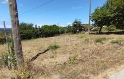 Pombal, Leiria District