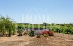 Vidigueira, Beja 7960-432