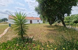 Abela, Setubal