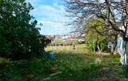 Lisbon, Lisbon 1000