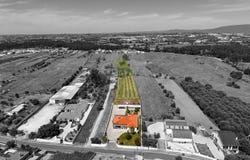 Santarém, Santarém District 2350