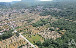 Leiria, Leiria District