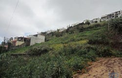 Funchal, Ilha da Madeira 9060-067