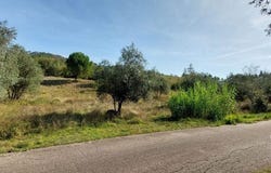 Leiria, Leiria District