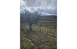 Candedo, Vila Real 5090