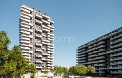 Matosinhos, Porto District