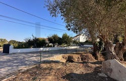 SETÚBAL, Setubal