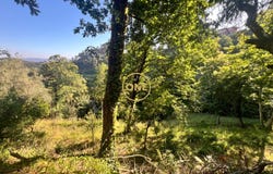 SERAMIL, Braga