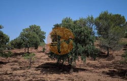 Rio Seco, Castro Marim, Faro 8950-000