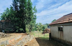 Cornes, Viana Do Castelo 4920