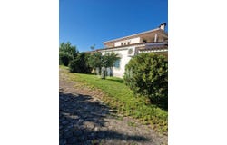 Pêro Viseu, Castelo Branco 6230