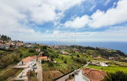 Canhas, Madeira 9360