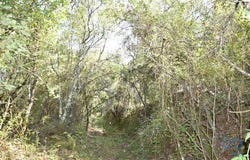 Ferreira do Zêzere, Santarém 2240-102