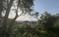 Amarante, Porto District