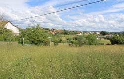 Pombal, Leiria District