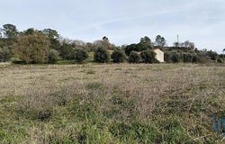 Tomar, Santarém 2300-397
