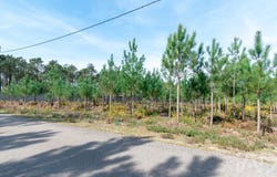 Leiria, Leiria District