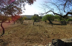 São Brás de Alportel, Algarve