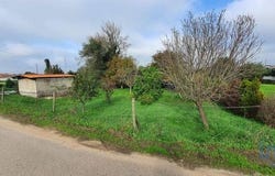 Estarreja, Aveiro 3860-044